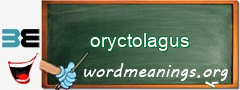 WordMeaning blackboard for oryctolagus